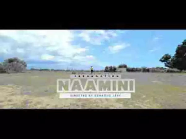 Video: Ibrahnation - Naamini